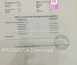 Кот Федор Кот Федор