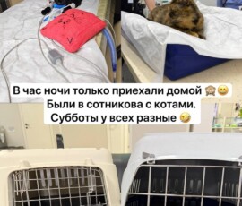 Кто такой волонтер Кто такой волонтер