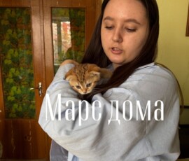 Котенок Марс дома Котенок Марс дома