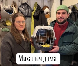 Котенок Михалыч дома Котенок Михалыч дома