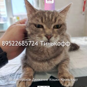 Оливия продолжаем лечиться