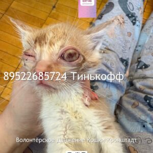 Нужна помощь…